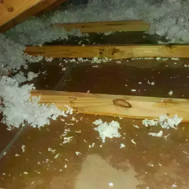 Attic Water Damage in English, IN