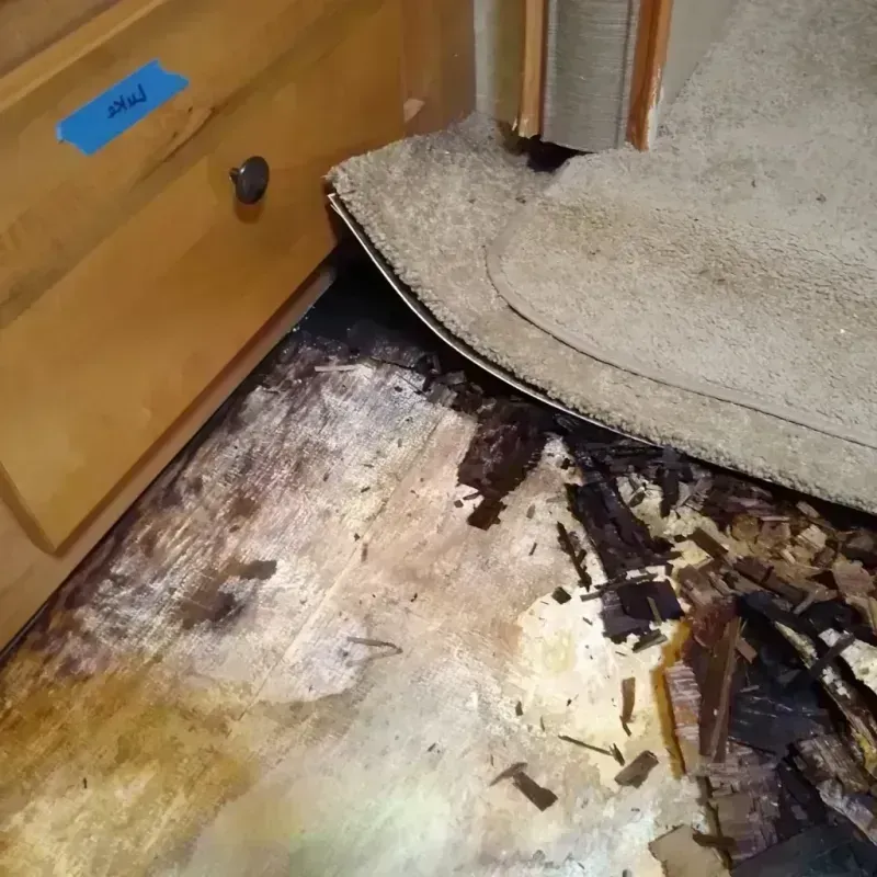 Wood Floor Water Damage in English, IN